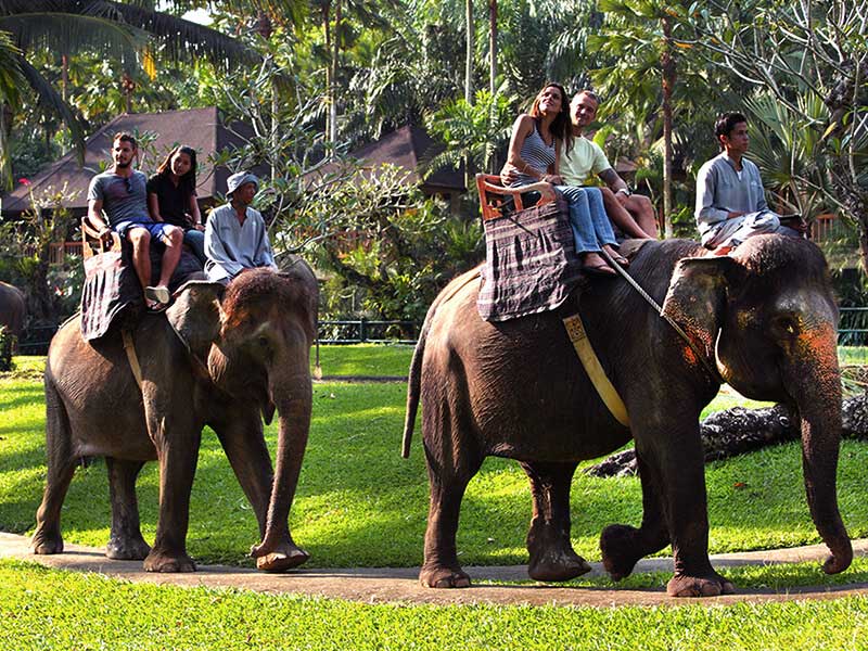 elephant ride bali safari